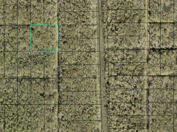 W Deep Creek Blvd #77, Hastings, FL 32145