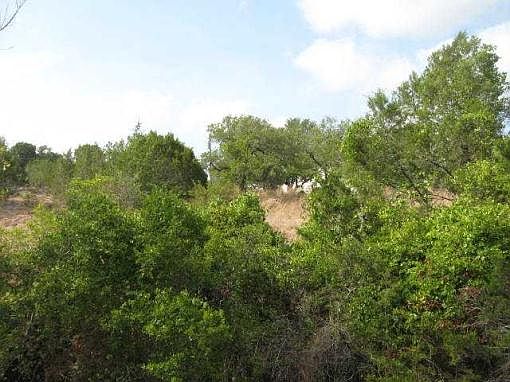 2nd image of 420 Dunkeld Dr
