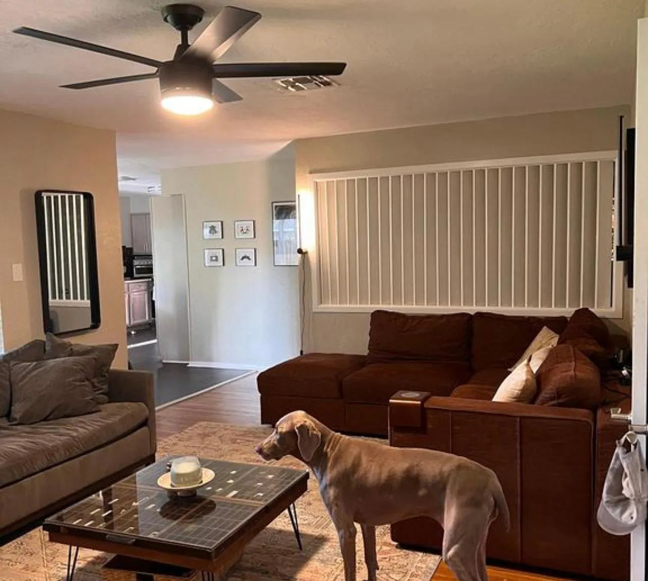 930 Barracuda Pl — Photo 4