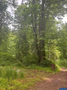 4360 Silver Falls Dr NE, Silverton, OR, 97381