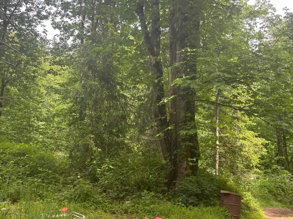 4360 Silver Falls Dr NE, Silverton, OR 97381