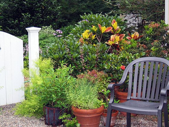 courtyard in summer