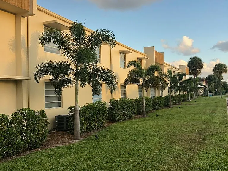 Whispering Palms — Photo 20