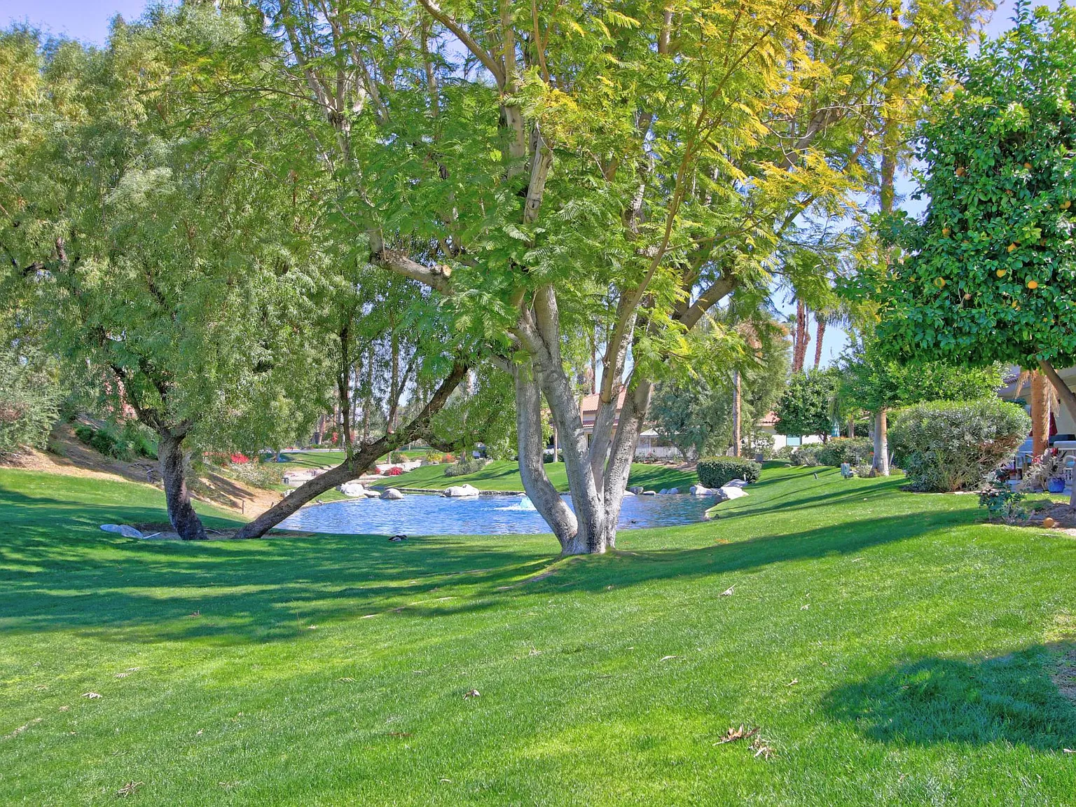 206 Lakecrest Ln — Photo 4
