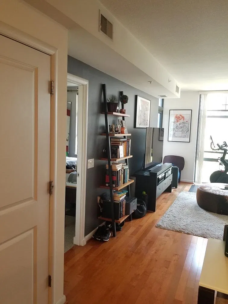 1 bed, 746 sqft, $2,500 — Photo 3