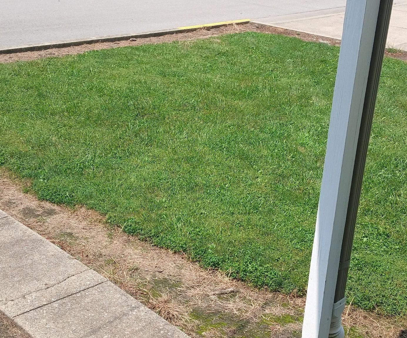 3 bed, 1540 sqft, $2,400 — Photo 3