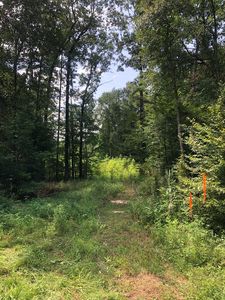Fm 1878, Nacogdoches, TX, 75961