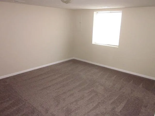 Basement - Family Room