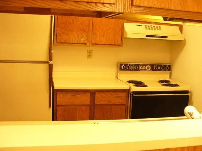 203 Ski Ct #H — Photo 7