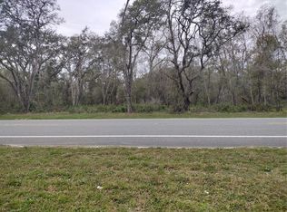 Treiman Boulevard Lot #C-40, Webster, FL 33597