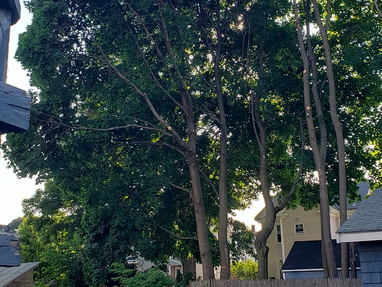 Trenton St — Photo 12