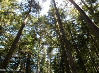 0 Unassigned LOT 13, Interlachen, FL 32148