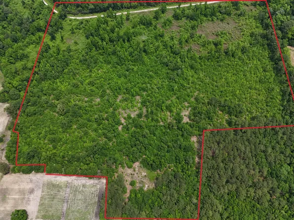 0 Addison Tram Road, Rowland, NC 28383