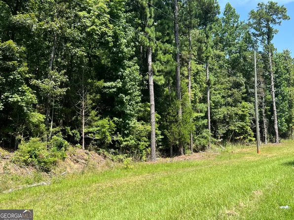 0 Davidson Rd, West Pt, GA 31833