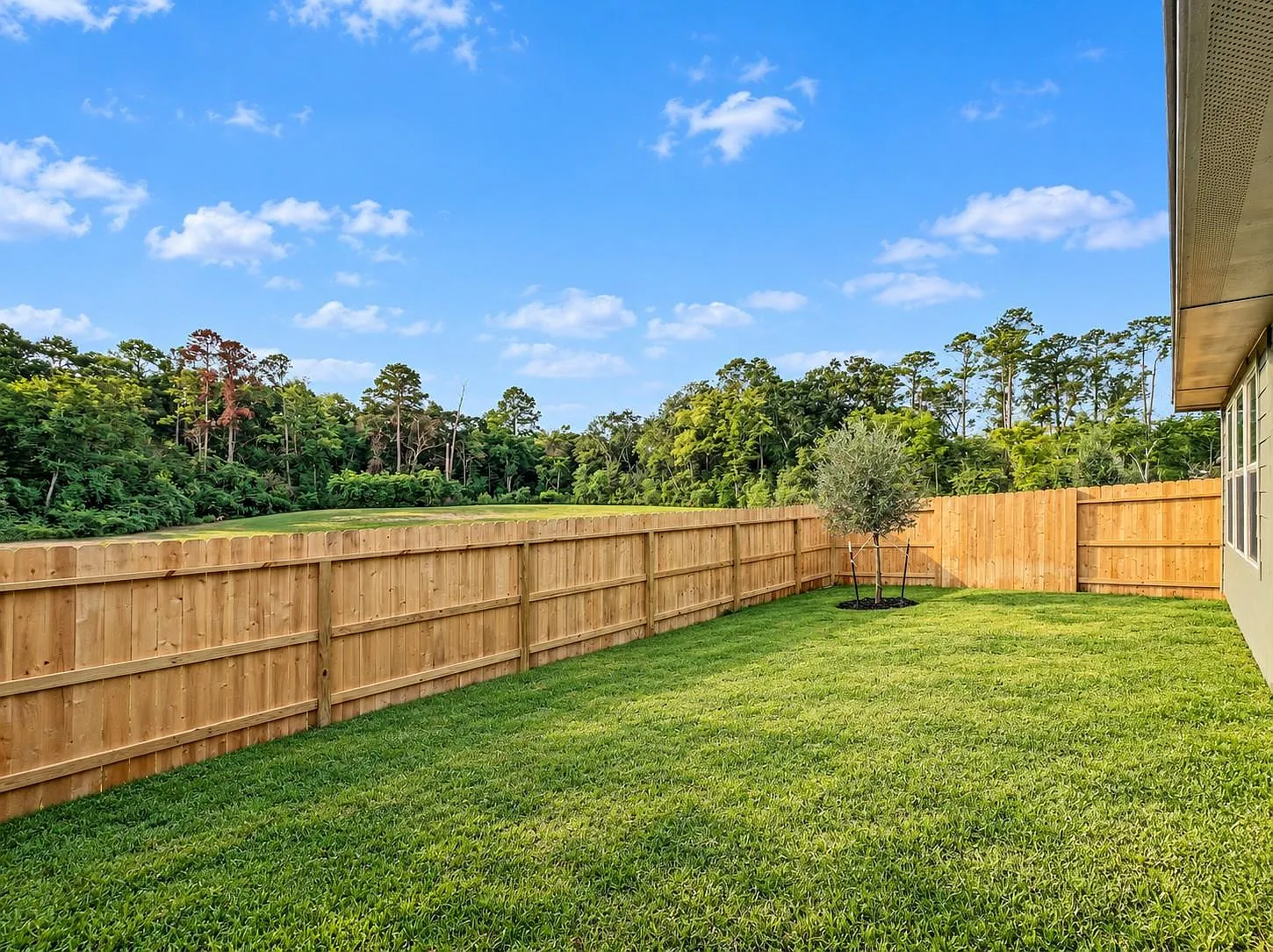 4 bed, 2.0 bath, 1557 sqft, $2,100 — Photo 4