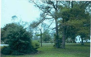 1st image of 532 NEPTUNE LOT 8