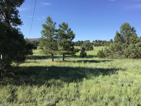 LOT 44 Sunflower Dr, Ramah, NM 87321