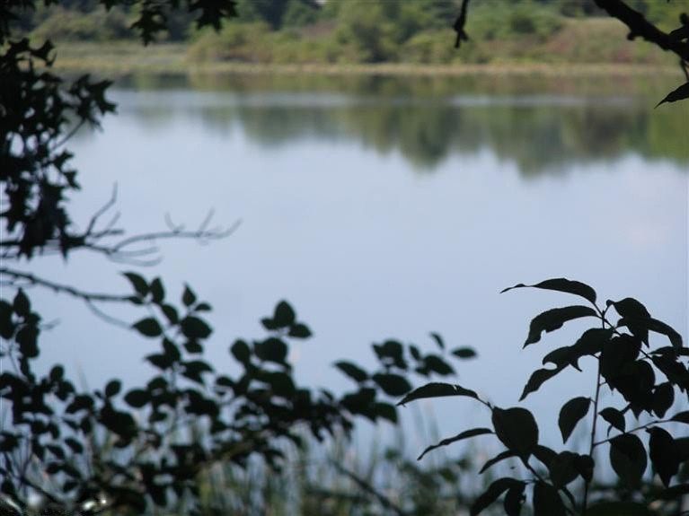 2nd image of 26 Nottawa Rd