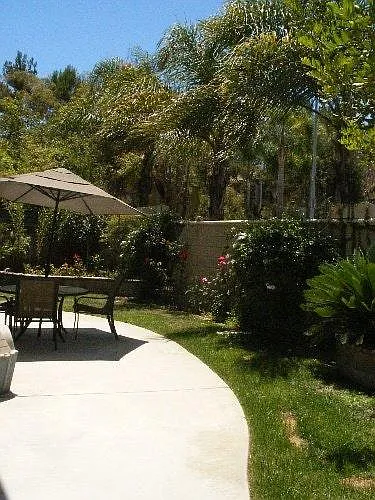 Backyard with patio