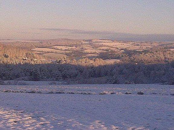  view outside kitchen window