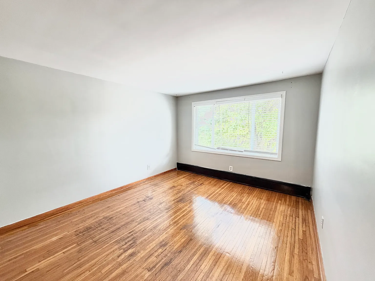 1 bed, 800 sqft, $895 — Photo 2