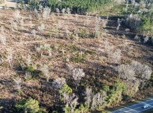 0 E Myrtle Beach Hwy Tract 5, Johnsonville, SC 29555