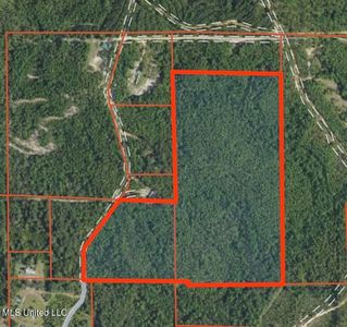 44/AC Burnis Havard Rd, Perkinston, MS, 39573