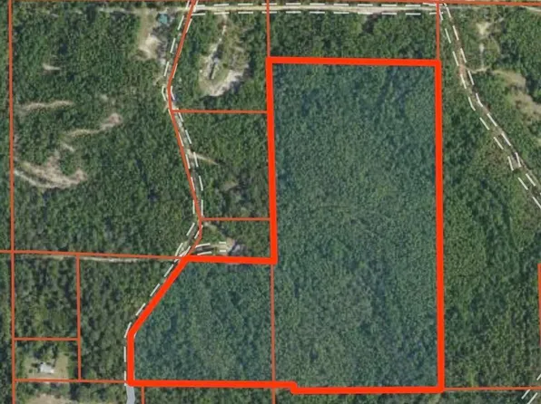 44/AC Burnis Havard Rd, Perkinston, MS 39573