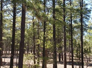 1300 S Jimson Loop, Show Low, AZ 85901