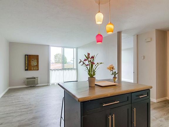 Kitchen & living room