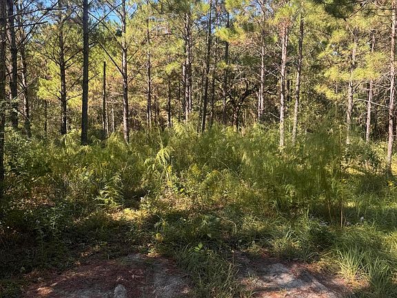 2nd image of 21525 Gartman Jones Rd