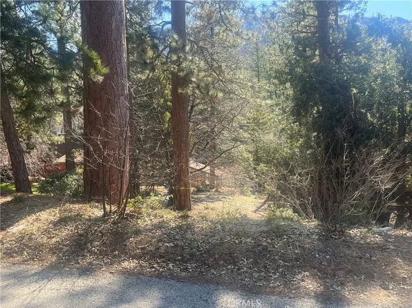 0 Robin Oak Dr #31, Angelus Oaks, CA 92305