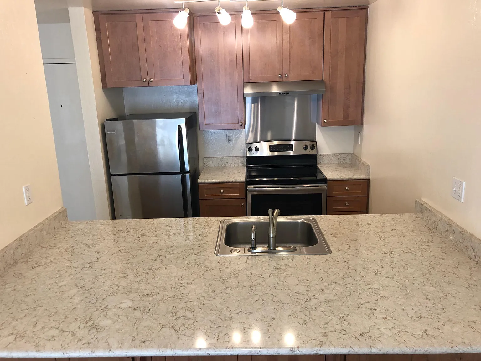 1 bed, 665 sqft, $2,390 — Photo 4