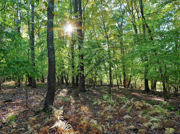 0 E Alpine Dr, Terra Alta, WV 26764