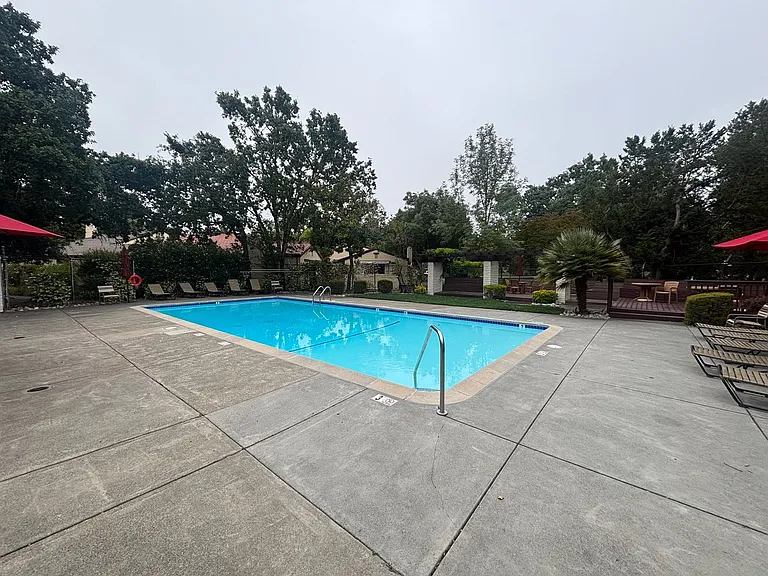 808 Shady Oak Dr — Photo 13