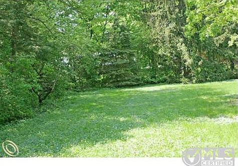 Yard.JPG