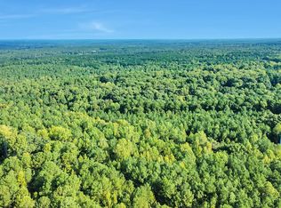 15605 New Light Rd, Wake Forest, NC 27587