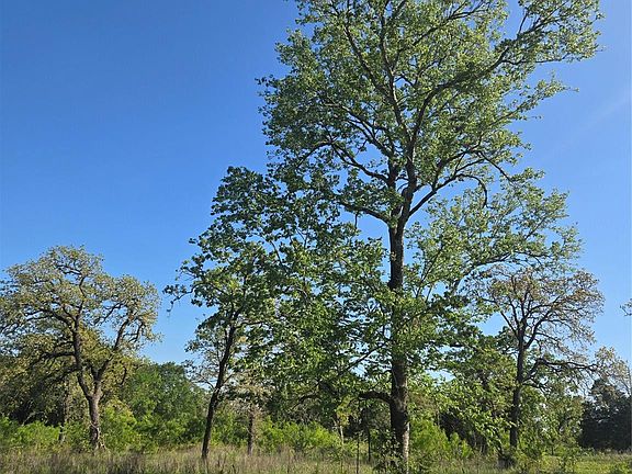 5th image of 10557 Roy Rd