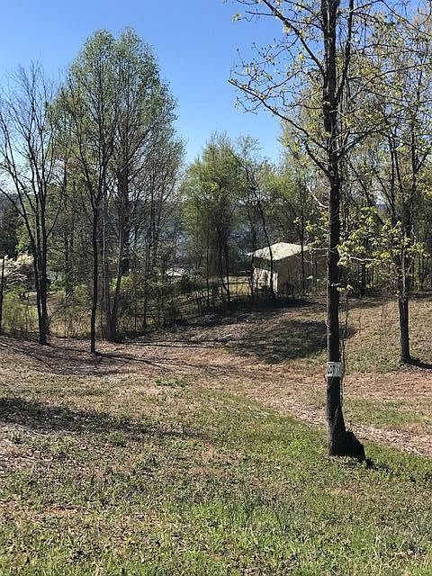 1st image of 11 Piney View Dr