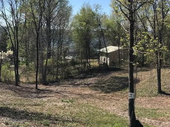 11 Piney View Dr, Spring City, TN 37381