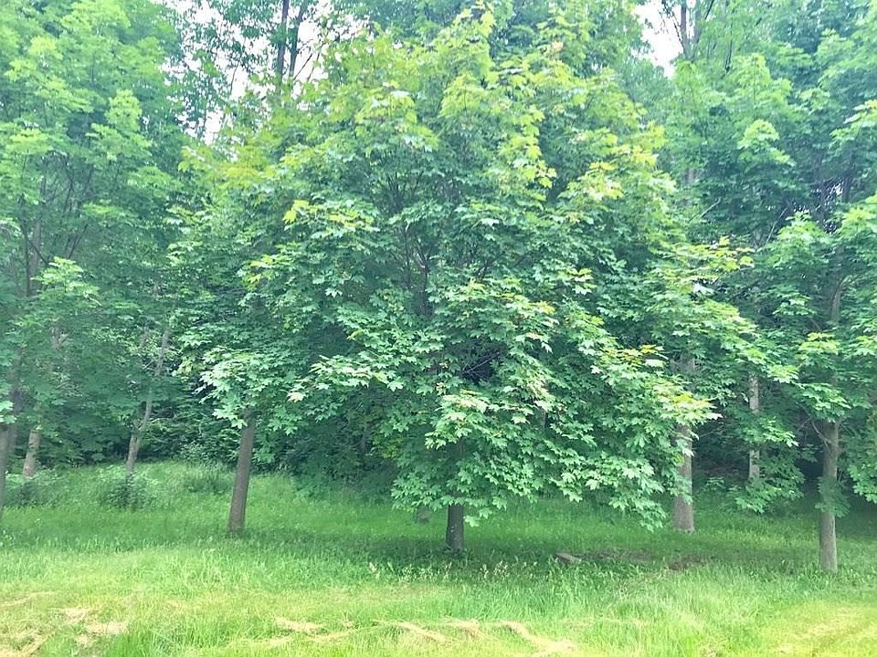 2nd image of 6445 Bloom Rd
