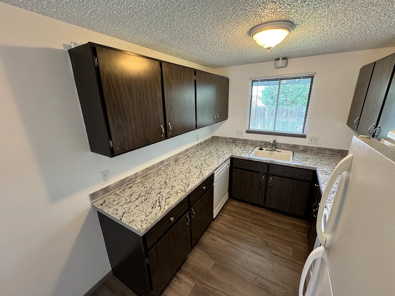 2 bed, 1000 sqft, $1,299 — Photo 4