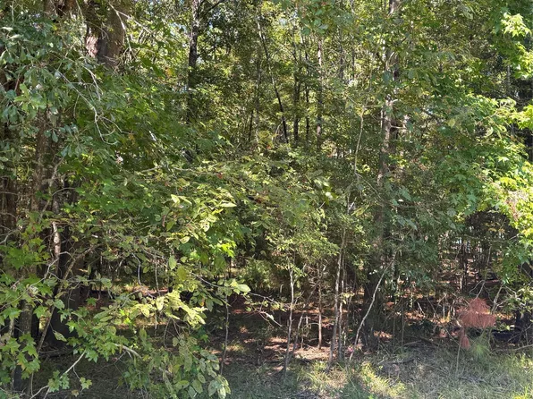0 Caney Ct Lot 1115, Huntsville, TX 77320