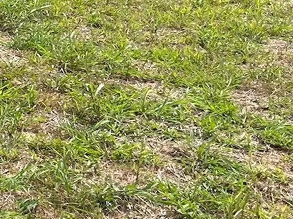 24 Sun Dr, Scottsville, KY 42164