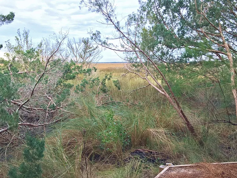Yard extends to the marsh's edge.