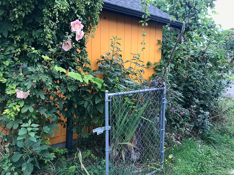 209 Alder Ave — Photo 9