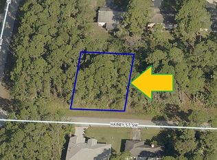 871 Hainey St SW, Palm Bay, FL 32908