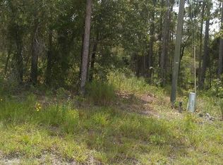 Tbd Se 123rd Ter, Morriston, FL 32668