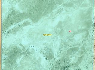 11545 S Spring Meadows Rd, Amargosa Valley, NV 89020