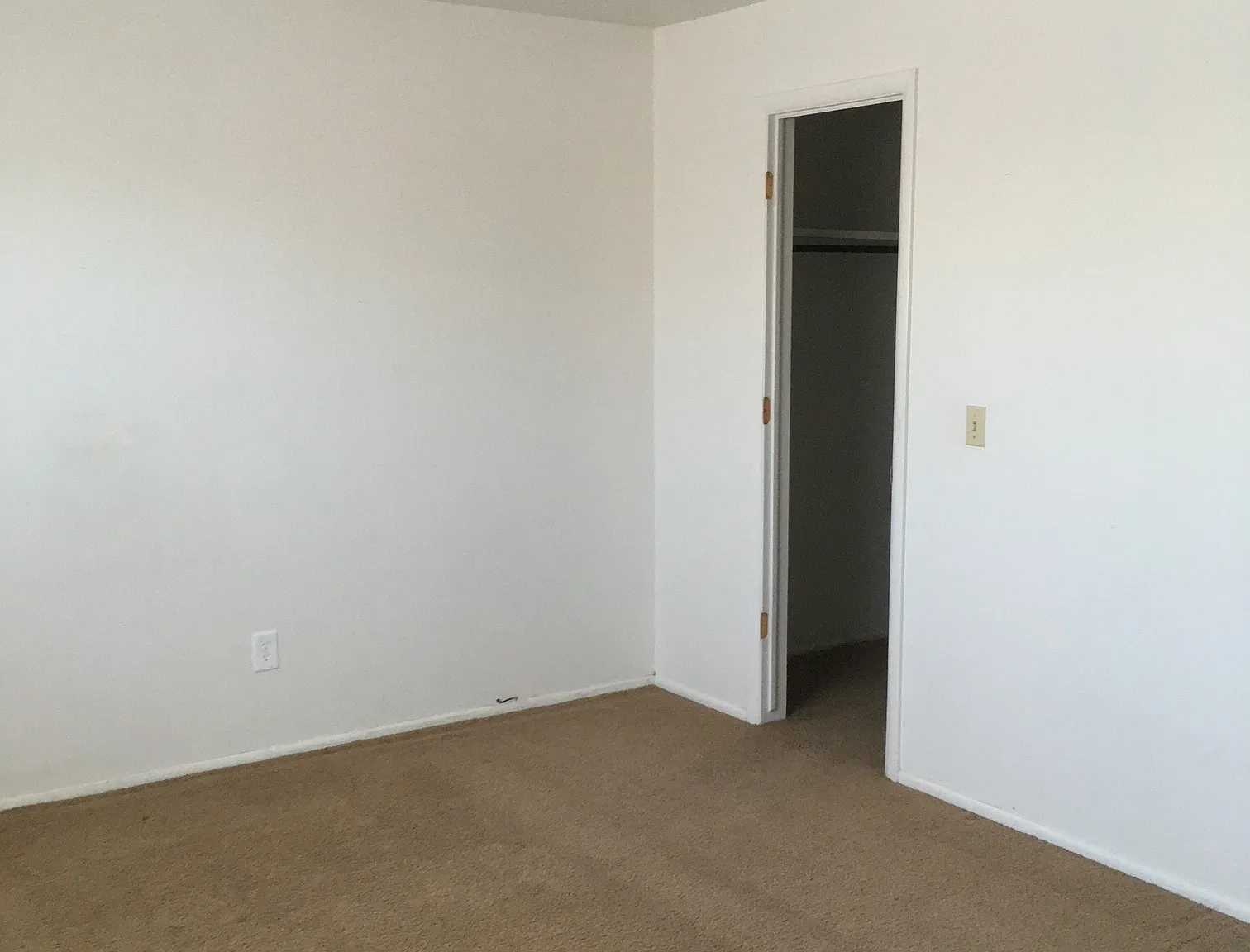 2 bed, 1.5 bath, 970 sqft, $1,200 — Photo 2